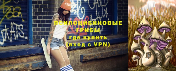 прущие грибы Алексеевка