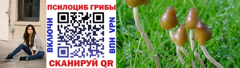 как найти закладки Жирновск Галлюциногенные грибы мицелий