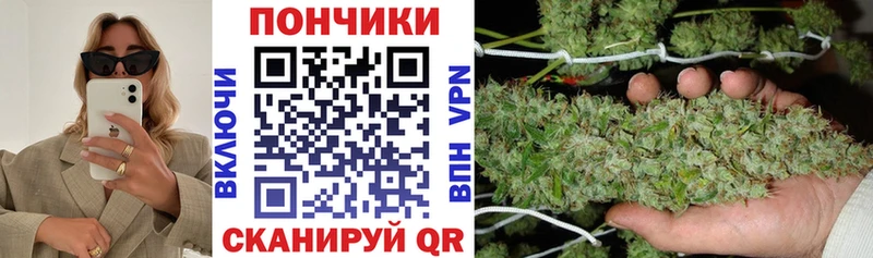 Бошки Шишки планчик  omg tor  Жирновск 